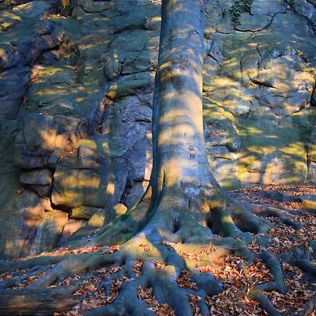 Mlyn Karpnicki - Fischbacher Muehle *