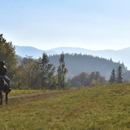 Appartement Mlyn Karpnicki - Fischbacher Muehle