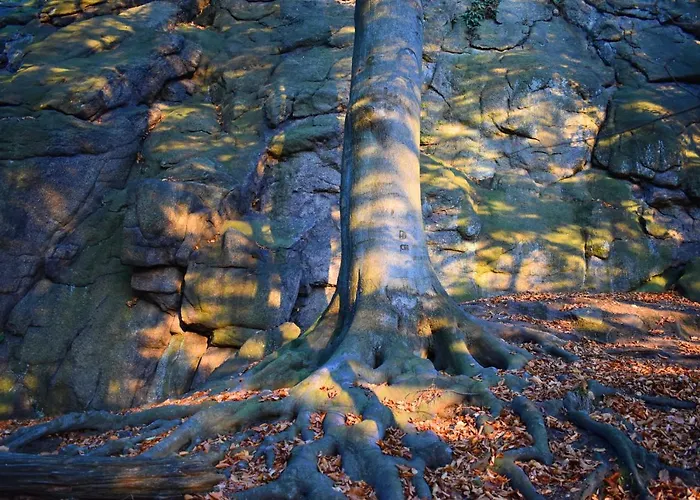 Mlyn Karpnicki - Fischbacher Muehle *